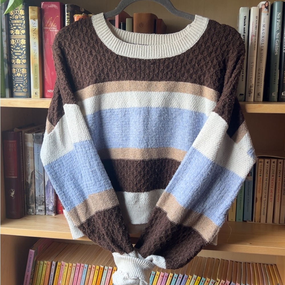Derek Heart Brown and Blue Striped Sweater